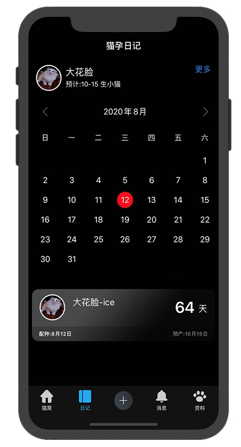 iPhone App Mockup - Shards App Promo Demo