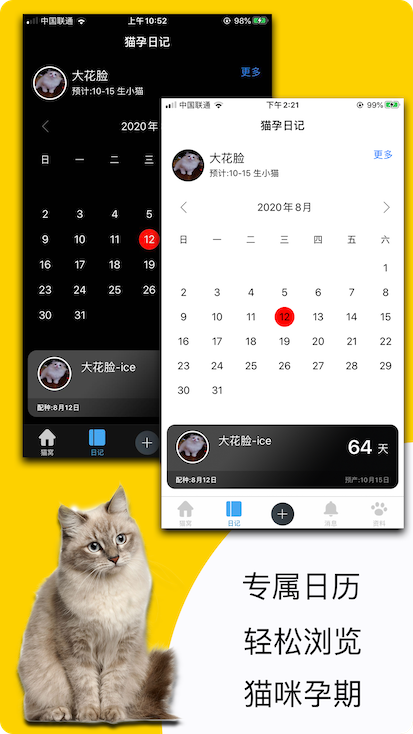 App Screenshot - Shards App Promo Demo Page
